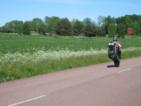 IMG_0811.jpg