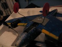 bluestar 006 (Medium).jpg