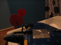 bluestar 007 (Medium).jpg