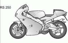 rs250-2.gif