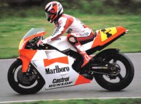 rainey4.jpg