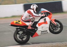 rainey2.jpg