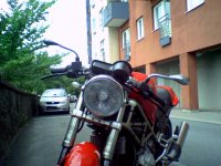 SP_A0257beta.jpg