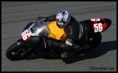 IMG_5795_filtered.jpg
