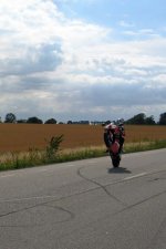 martinwheelie.jpg