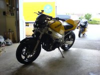 Suka 001.JPG