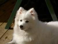 PICT0128.jpg