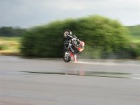 IMG_0389__Large_.JPG