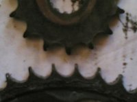 20050728(001).jpg