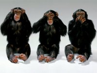 The 3 monkeys.jpg