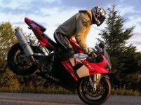 Stoppie textur_2.jpg