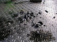 DSCN2024 (Medium).JPG