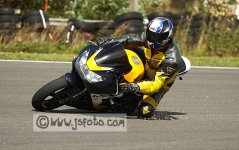 IMG_2895.jpg