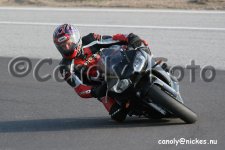 IMG_3550.jpg