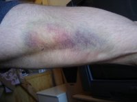 Bild 2486liten.JPG