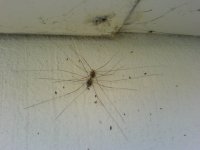 DSC00229.JPG