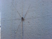 DSC00230.JPG