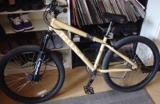 bikehookwormz1.jpg