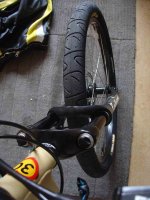 bikehookwormz2.jpg