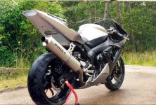 R1b.jpg