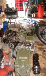 Motor Mayhem.jpg