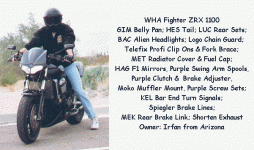 wpe45691.gif