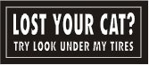 lost your cat.jpg