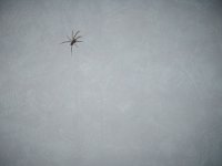 P1010020liten.jpg