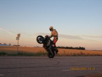 ogge-wheelie2.jpg
