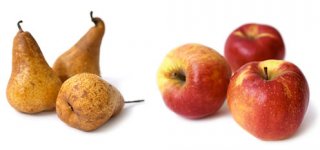 applenochparon.jpg