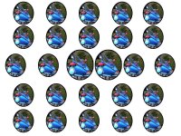 26xjell.jpg