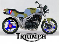 Fighter-Trajja.jpg