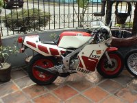 yamaha-ysr50-00-bikepics-179739.jpg
