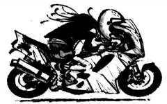 JoeBar_H.R.Kabel_SuzukiGSXR750 copy2.jpg