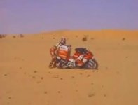 r1-2.JPG