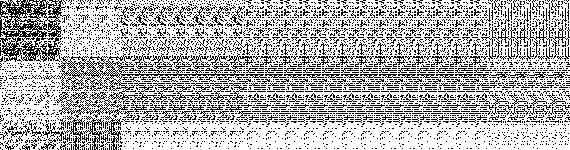!image001.gif