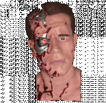 terminator.gif