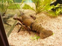 Picture 031_liten.JPG