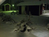 DSC00017.JPG