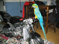 100_0010_2.JPG