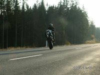 PICT00044.JPG