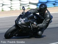 IMG_4039.jpeg