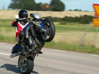 wheelie.jpg