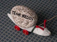 teammedin.jpg