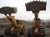 Caterpillar 2.JPG