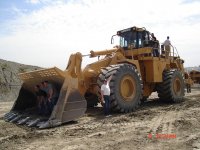 Caterpillar 3.JPG