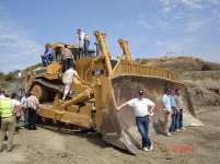 Caterpillar 1.JPG