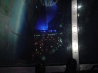 DSC01239 (Large).JPG