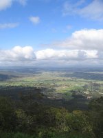 wt_mt_tamborine_02.jpg