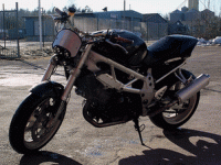 IMGP12011.gif